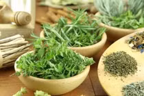 Ăn uống + tập luyện + sinh địa bát vật = ổn định đường huyết