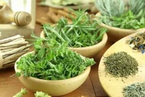 Ăn uống + tập luyện + sinh địa bát vật = ổn định đường huyết