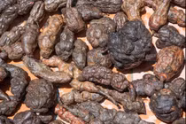 Món ăn đầu bảng khắc phục bạc tóc 