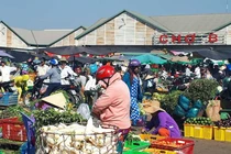 TPHCM sẽ tạm dừng hoạt động hệ thống phân phối không đảm bảo các biện pháp phòng, chống dịch Covid-19 