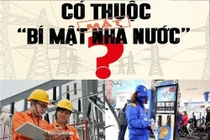 Không nên đóng dấu mật với giá điện, xăng