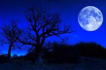 Trăng xanh không có màu xanh