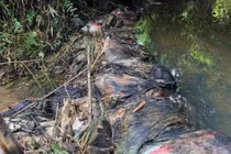 Xin lỗi, cấp miễn phí một tháng: Nước sạch sông Đà hết trách nhiệm?