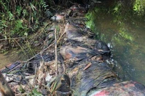 Xin lỗi, cấp miễn phí một tháng: Nước sạch sông Đà hết trách nhiệm?