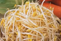 Giá đỗ làm tăng hấp thu protein lên đến 65%