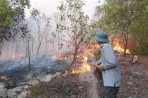 Quảng Bình: Cháy lớn ở rừng phòng hộ ven biển
