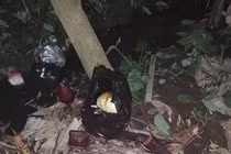 Cháu bé được bỏ trong túi nilon màu đen, không mảnh vải che thân ngày mùng 1 Tết.