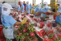 EU thay đổi quy định với nông sản nhập khẩu