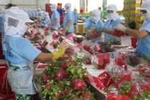 EU thay đổi quy định với nông sản nhập khẩu