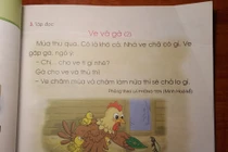 Giáo viên phát ngôn về sách Tiếng Việt 1, Cánh Diều: Bộ “không cấm” nhưng... “đố dám”