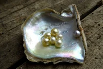 Bí mật đối xứng đáng kinh ngạc của ngọc trai