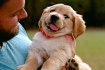 Có thể bị lây nhiễm COVID-19 qua thú cưng hay muỗi đốt?