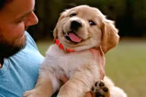 Có thể bị lây nhiễm COVID-19 qua thú cưng hay muỗi đốt?