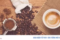 8 loại thực phẩm không nên bỏ vào tủ lạnh