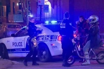 Chồng giả làm chó để vợ dắt đi dạo trong giờ giới nghiêm