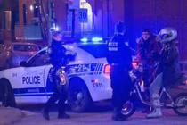 Chồng giả làm chó để vợ dắt đi dạo trong giờ giới nghiêm