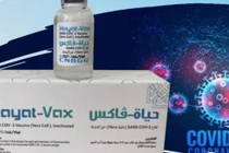 Thủ tướng giao Bộ Y tế kiểm tra, cấp phép khẩn vắc xin Covid-19 Hayat - Vax