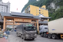 Bộ NN&PTNT khuyến cáo tạm dừng đưa hàng nông sản lên Lạng Sơn