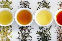 Những điều cần kiêng khi uống trà