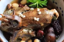 Chim bồ câu tốt cho người mới ốm dậy