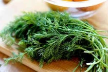 Tác dụng chữa bệnh tuyệt vời từ cây thì là