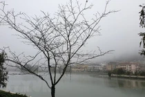 Bắc Bộ và Bắc Trung Bộ mưa rét, rét đậm trong ngày mùng 4 Tết