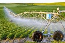 Ứng dụng chuyển đổi số cho nông nghiệp Việt