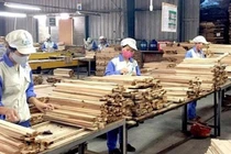 Xuất khẩu nông sản giảm tốc