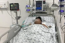 Sốt xuất huyết tăng nóng 