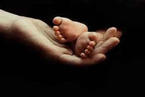 Một chuyện ở bể bơi