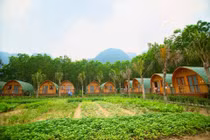 Thủ tướng yêu cầu quản lý hoạt động của mô hình du lịch kết hợp trang trại nghỉ dưỡng