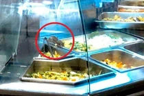 Aeon Mall phản hồi về vụ chuột bò trên khay thức ăn khu ẩm thực