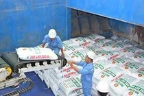 Giá urea tăng cao, nông dân không được lợi, Đạm Cà Mau lo chuyện tăng giảm lãi 