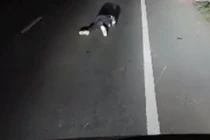 thanh niên nằm giữa đường