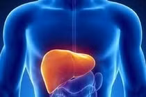 Nhìn trực tiếp hình ảnh xơ gan do rượu