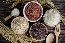 Giá gạo xuất khẩu lên cao nhất trong 2 năm