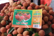 Vải thiều Lục Ngạn được cấp chỉ dẫn địa lý ở 6 nước