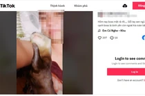 Bán rái cá làm cảnh, thanh niên nhận bản án 18 tháng tù