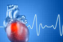 Phát hiện tế bào mới có thể điều chỉnh nhịp tim