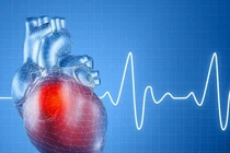 Phát hiện tế bào mới có thể điều chỉnh nhịp tim