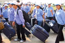 Đi xuất khẩu lao động: người dân có thể vay 100 triệu đồng