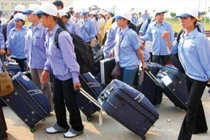 Đi xuất khẩu lao động: người dân có thể vay 100 triệu đồng
