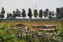 Vì sao 2 lãnh đạo Công ty nhà nước ở Bình Dương bị khởi tố bắt giam?