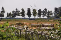 Vì sao 2 lãnh đạo Công ty nhà nước ở Bình Dương bị khởi tố bắt giam?