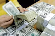 8 tháng năm 2019: Vốn cấp mới giảm, vốn góp, vốn mua tăng