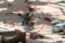 Xôn xao hình ảnh nghi người ngoài hành tinh trên sao Hỏa