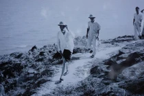 Hình ảnh Bác Hồ kéo lưới ở Sầm Sơn 60 năm trước