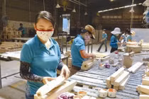 Triển vọng xuất khẩu gỗ năm 2021