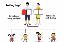 Hưởng ứng ngày Thalassemia thế giới (8/5/1986 – 8/5/2019): Sàng lọc để tránh bệnh tan máu bẩm sinh