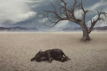 Đợt tuyệt chủng lần thứ 6 của nhân loại